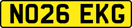 NO26EKG