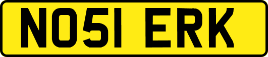 NO51ERK