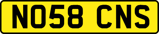 NO58CNS