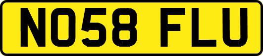 NO58FLU