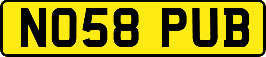 NO58PUB