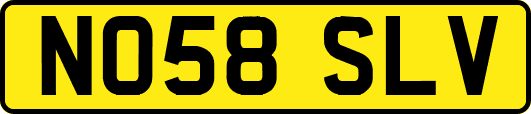 NO58SLV