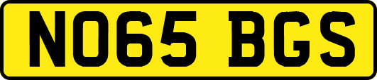 NO65BGS