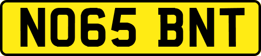 NO65BNT