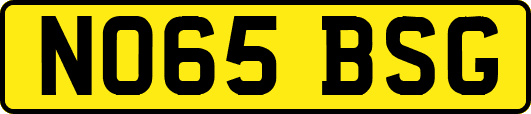 NO65BSG