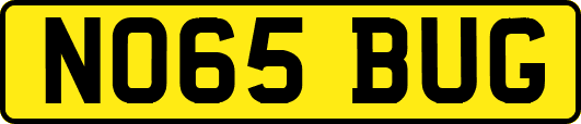 NO65BUG