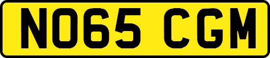 NO65CGM