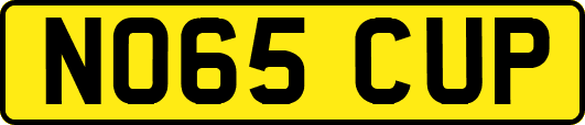 NO65CUP