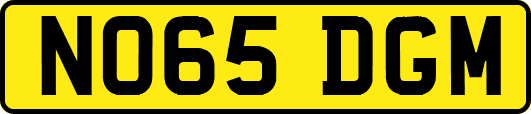 NO65DGM