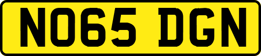 NO65DGN
