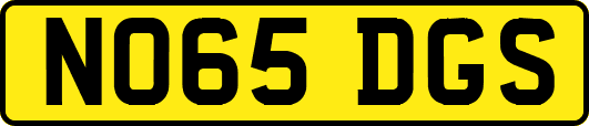 NO65DGS