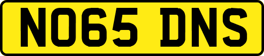 NO65DNS