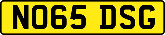 NO65DSG