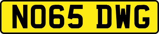 NO65DWG