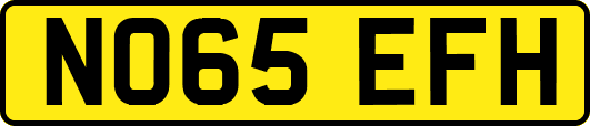NO65EFH