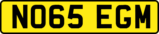 NO65EGM