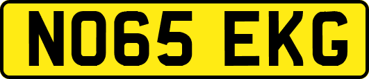 NO65EKG