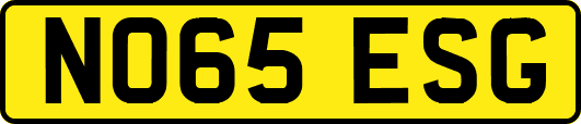 NO65ESG