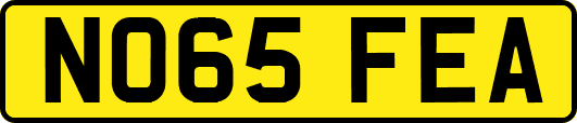 NO65FEA