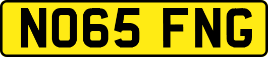 NO65FNG