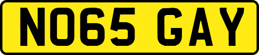 NO65GAY