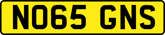 NO65GNS