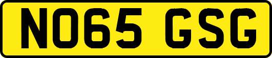 NO65GSG