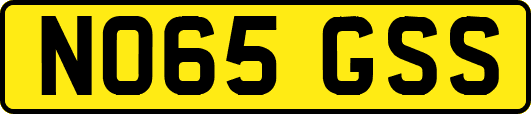 NO65GSS