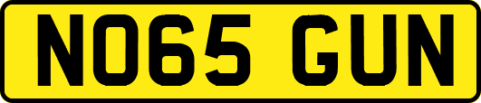 NO65GUN