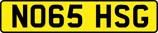 NO65HSG