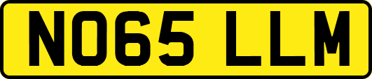 NO65LLM