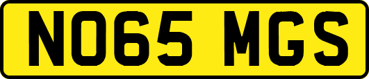 NO65MGS