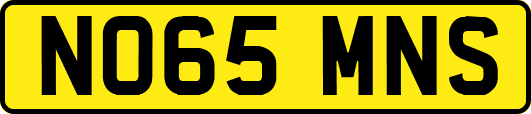NO65MNS
