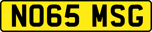 NO65MSG