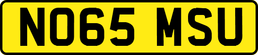 NO65MSU