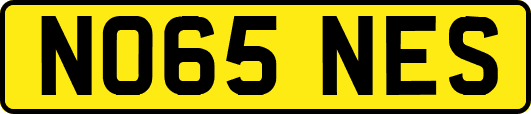 NO65NES
