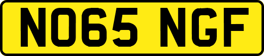 NO65NGF