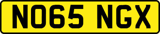 NO65NGX