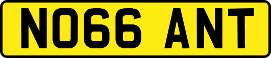 NO66ANT