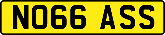 NO66ASS