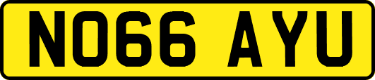 NO66AYU