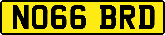 NO66BRD
