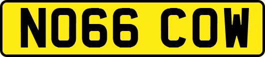 NO66COW