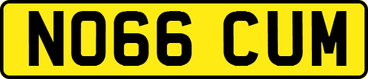 NO66CUM