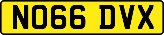 NO66DVX