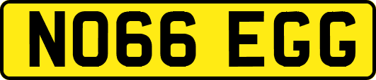 NO66EGG