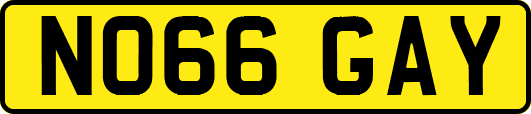 NO66GAY