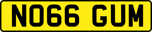 NO66GUM