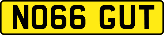 NO66GUT