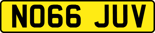NO66JUV